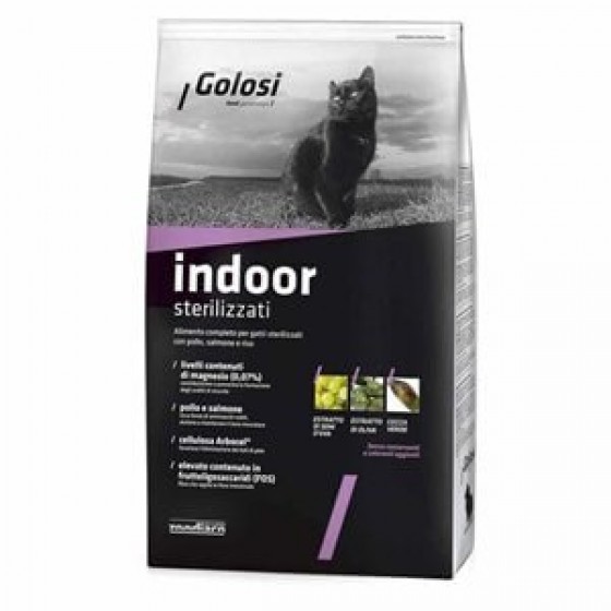 Golosi Indoor Somonlu Pirinçli Kısırlaştırılmış Kedi Maması 1,5 Kg