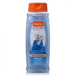 Hartz Groomers Best Whitening Beyaz Köpek Şampuanı 532 Ml Hartz Groomers Best Whitening Beyaz Köpek Şampuanı 532 Ml