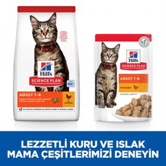 Hills Adult Chicken Tavuklu Yetişkin Kuru Kedi Maması 3 Kg