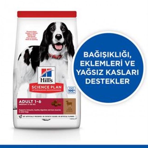 Hills Adult Lamb Kuzu Etli Yetişkin Köpek Maması 14 Kg