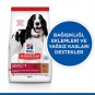 Hills Adult Lamb Kuzu Etli Yetişkin Köpek Maması 14 Kg