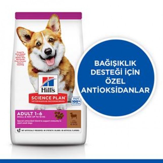 Hills Adult Small Miniature Kuzulu Küçük Irk Köpek Maması 6Kg