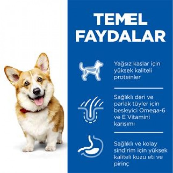 Hills Adult Small Miniature Kuzulu Küçük Irk Köpek Maması 6Kg