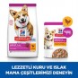 Hills Adult Small&Mini Tavuklu Küçük Irk Köpek Maması 3 Kg