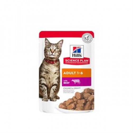 Hills Chunks & Gravy Biftekli Kedi Konservesi 85 Gr