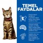 Hills Feline Light Yetişkin Kuru Kedi Maması 3 Kg