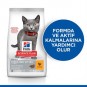 Hills Feline Sterilised Kitten Yavru Kısır Kedi Maması 3 Kg