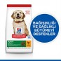 Hills Puppy Large Breed Chicken Büyük Irk Yavru Köpek Maması 14,5 Kg