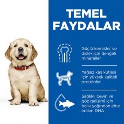 Hills Puppy Large Breed Chicken Büyük Irk Yavru Köpek Maması 14,5 Kg