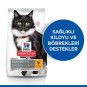 Hills Sterilised Mature Kısırlaştırılmış Yaşlı Kedi Maması 1,5 kg