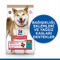 Hills Tahılsız Ton Balıklı Yetişkin Köpek Maması 12 kg