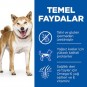 Hills Tahılsız Ton Balıklı Yetişkin Köpek Maması 2.5 kg