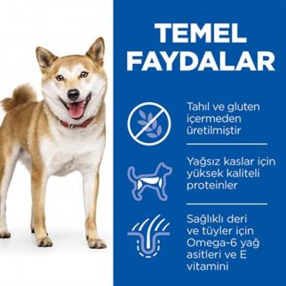 Hills Tahılsız Ton Balıklı Yetişkin Köpek Maması 12 kg