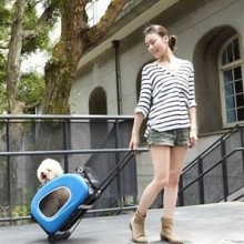 İbiyaya Hot Pink Tekerlekli Kedi ve Köpek Taşıma Çantası İbiyaya Hot Pink Tekerlekli Kedi ve Köpek Taşıma Çantası