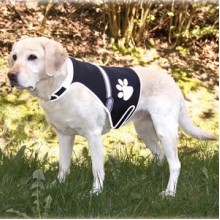 Trixie Işıklı Fosforlu Köpek Güvenlik Yeleği L,Siyah 60x80cm