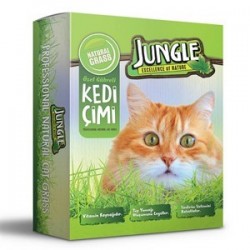 Jungle Kedi Çimi Jungle Kedi Çimi