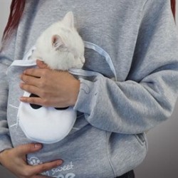 Kanguruu Sweet Pet Taşıma Kıyafeti Large Gri Kanguruu Sweet Pet Taşıma Kıyafeti Large Gri