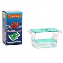 Kardelen Tekli Balık Yavruluğu