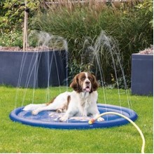 Karlie Fıskiye Havuzu 100 cm