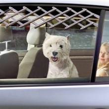 Karlie Köpek Koruma Izgarası 60 Cm