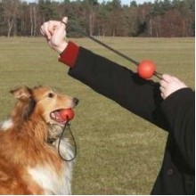 Karlie Fırlatmalı Lastikli Top Köpek Oyuncağı 6cm