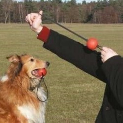 Karlie Fırlatmalı Lastikli Top Köpek Oyuncağı 6cm Karlie Fırlatmalı Lastikli Top Köpek Oyuncağı 6cm