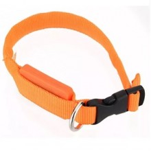 KB Gülen Yüzlü Kedi Ve Küçük Köpek Tasması 25cm