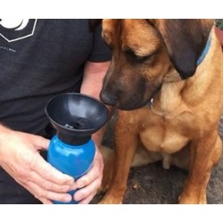 KB Köpek Seyahat Ve Gezi Suluğu