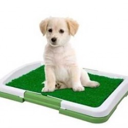 Doglife Yavru Köpek Tuvalet Eğitim Seti Doglife Yavru Köpek Tuvalet Eğitim Seti