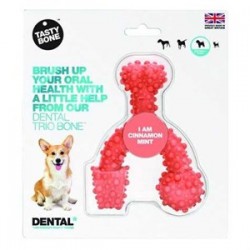 Large Trio Bone Cinnamon Mint Köpek Oyuncağı