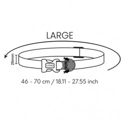 Lindo Apollo Köpek Boyun Tasması Large