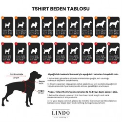 Lindo Art Köpek Tshirt Beden 4
