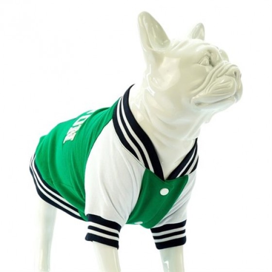 Lindo College BOSTON Köpek Sweatshirt Beden 5