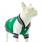 Lindo College BOSTON Köpek Sweatshirt Beden 5