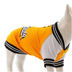 Lindo College CALIFORNIA Köpek Sweatshirt Beden 6 Lindo College CALIFORNIA Köpek Sweatshirt Beden 6