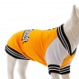 Lindo College CALIFORNIA Köpek Sweatshirt Beden 6