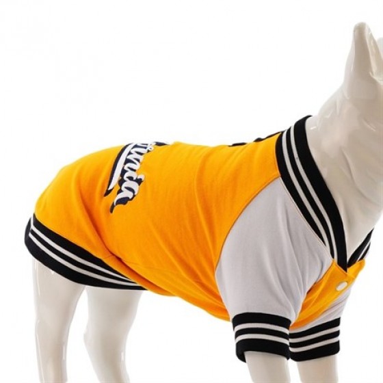 Lindo College CALIFORNIA Köpek Sweatshirt Beden 4