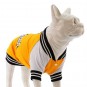 Lindo College CALIFORNIA Köpek Sweatshirt Beden 4