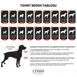 Lindo Funny Skull Köpek Tshirt Beden 4
