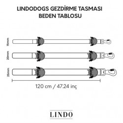 Lindo Ginger Man Köpek GezdirmeTasması Medium Lindo Ginger Man Köpek GezdirmeTasması Medium