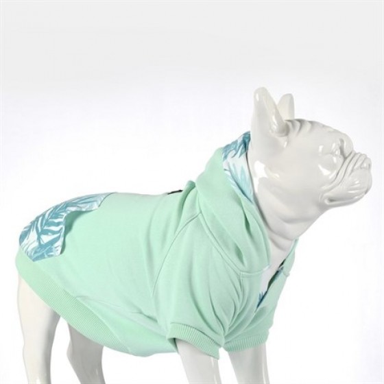 Lindo Mint Green Köpek Sweatshirt Beden 8