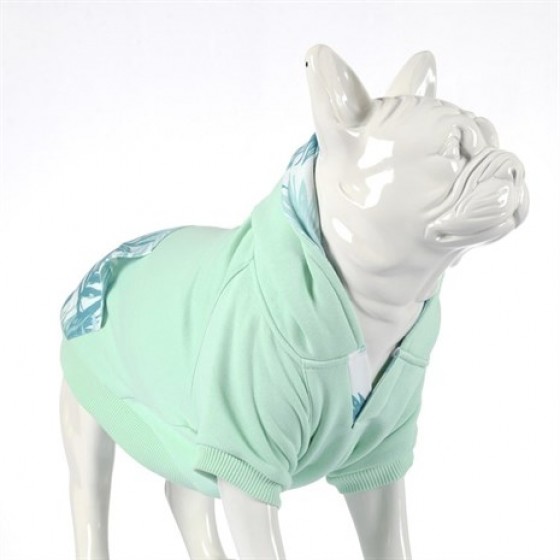 Lindo Mint Green Köpek Sweatshirt Beden 7