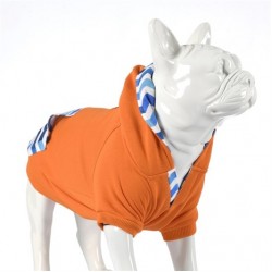 Lindo Sydney Köpek Sweatshirt Beden 6 Lindo Sydney Köpek Sweatshirt Beden 6
