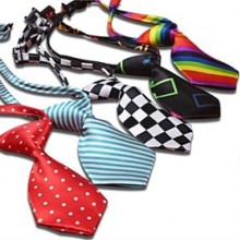 Lionpets 86902 Köpek Kravatı 25-40 cm