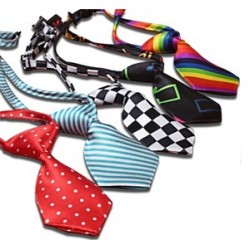 Lionpets 86902 Köpek Kravatı 25-40 cm