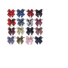 Lionpets Köpek Papyonu 30-40 cm