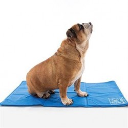M-Pets Frozen Köpek Serinletici Minder 90x50 Cm M-Pets Frozen Köpek Serinletici Minder 90x50 Cm