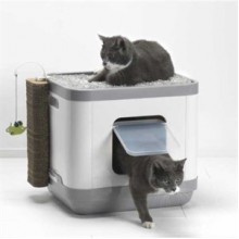 Moderna Cat consept Kedi Tuvaleti