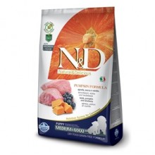 N&D Balkabaklı Kuzu Etli Tahılsız Yavru Köpek Maması 2.5 Kg