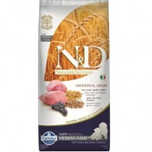 N&D Düşük Tahıllı Kuzulu Medium Maxi Yavru Köpek Maması 12 kg